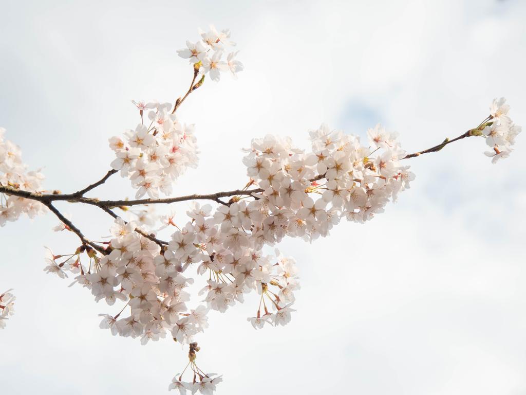 Umedaya Ryokan Katashina Zewnętrze zdjęcie